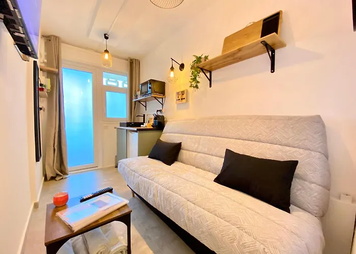 Daire Mini-studio Le Cormoran Scls - Wifi, Clim, Centre *