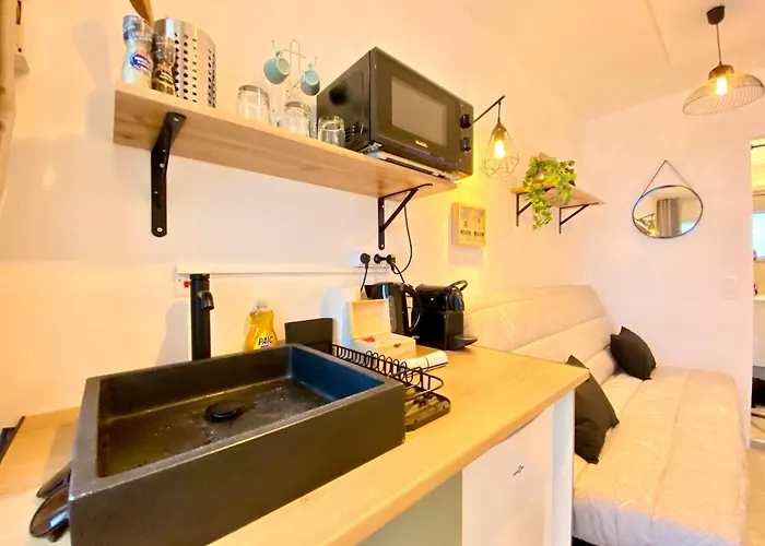 Mini-studio Le Cormoran Scls - Wifi, Clim, Centre *