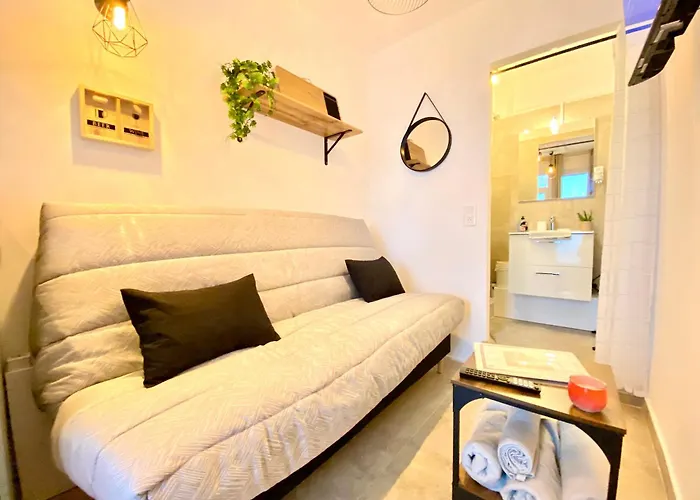 Mini-studio Le Cormoran Scls - Wifi, Clim, Centre Daire Cannes