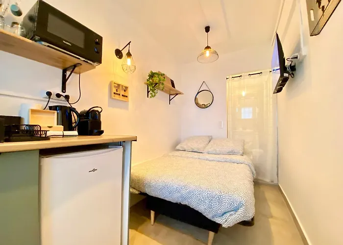 Mini-studio Le Cormoran Scls - Wifi, Clim, Centre Daire *