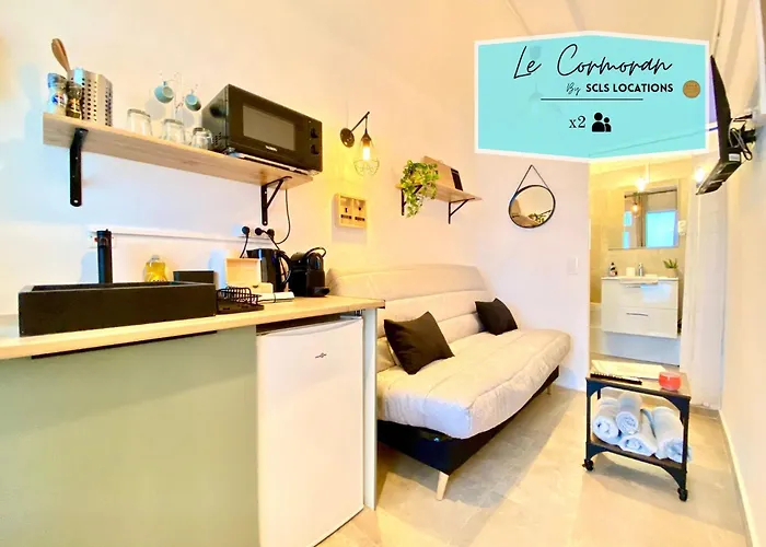 Daire Mini-studio Le Cormoran Scls - Wifi, Clim, Centre *